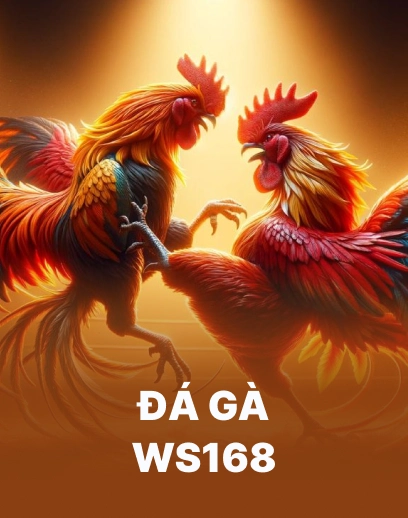 Đá Gà WS168